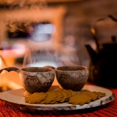 Polar Aurora Saariselkä