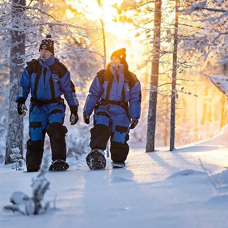 Polar Aurora Saariselkä