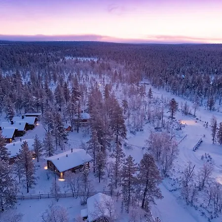 Polar Aurora *