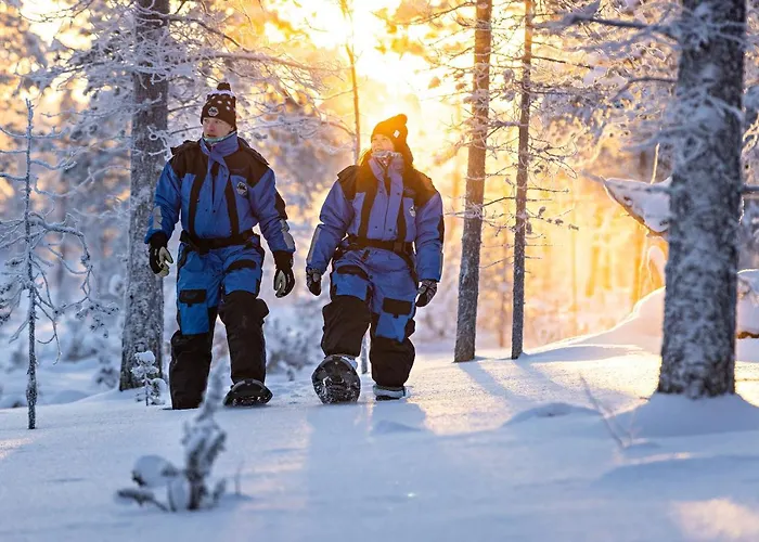 Polar Aurora Saariselka